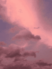 시간을 거스른다 해도