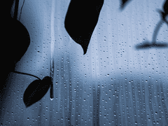 적어도 네 옆에는 내가, (下-上)