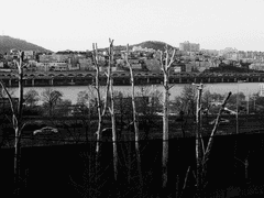 [모졔/모꿀] 가을비 외전 : 봄비 上