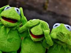 메이플 [舊군단장즈] naseweis !