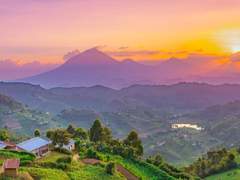 아프리카 청춘이다