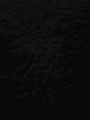 프문유니버스 기반 자캐