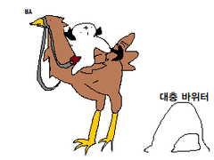첫 매칭