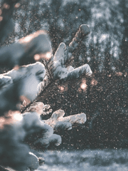 눈덩이 (중편소설)