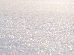 초겨울의 토끼 한마리