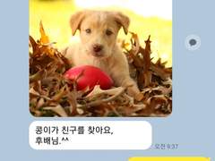 [청려문대] 비밀연애는 힘들어 #0 Prologue