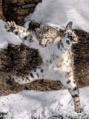 브라이트 그림 연습