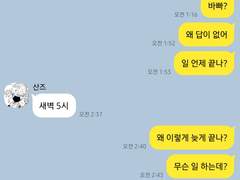 도리벤 카피페 드림 1