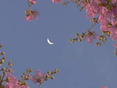 [젠탄] 달빛 아래 너를 재우고 (후기)