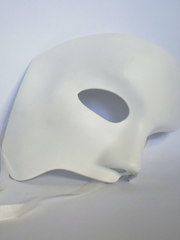 비밀스런 가면 파티(The Secret Masquerade)