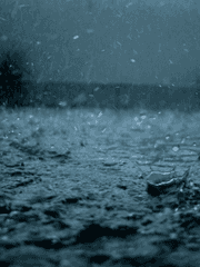  Ρόουεν Φοίβος