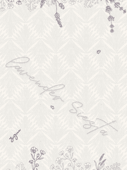 라벤더 시에스타