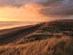 réquĭes 1. 쉼, 평안, 안식, 영면(永眠) 2. 안식처.