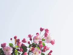 오늘은 예쁜 달이 떴어,