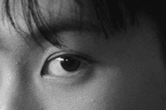 그냥 그런 수인 구원물