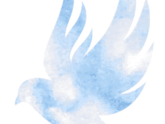 [석순] 파랑새 콘체르토