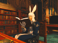 비나 비에라 남성