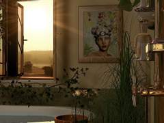 감기에 걸렸습니다