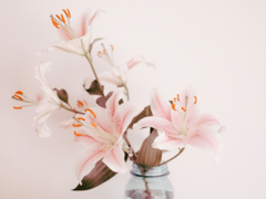 마이마유 타로 커미션