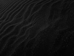 [악시제네카 P. 디데카시움] 중등부 4일차 과제