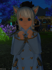 칠흑의 반역자 메인 스토리