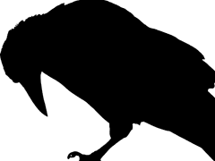 물냄새를 맡았다