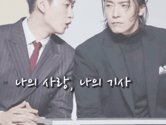 나의 사랑, 나의 기사