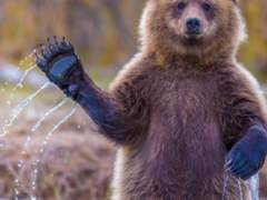 일괄 1250원 잘못찍은 교통카드 커미션