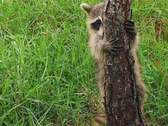 1200원 잘못찍은 교통카드 커미션