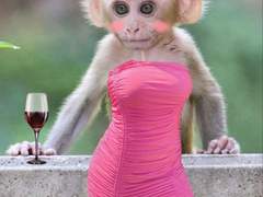 시작부터 끝까지