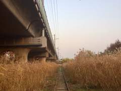 [은혼 드림] "같은 색으로 물들고 싶어."