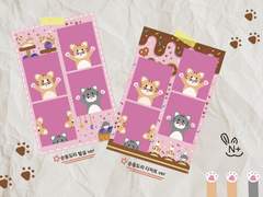 순둥도리 인생네컷 프레임