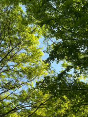 정신병동 입원 후기