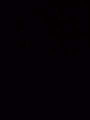 퇴마해드립니다 워싱턴 리노보살