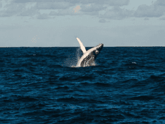 더미에 묻힌 과거