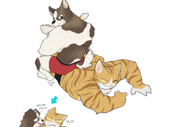 레슬링하는 퍼리 레즈 커플