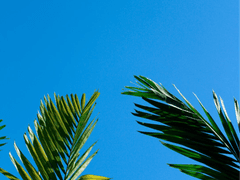 어제의 나와 내일의 너 中