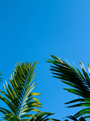 어제의 나와 내일의 너