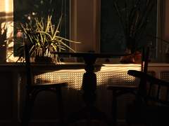 뼈조차 남기지 않는 대식가