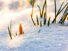 이반 터너_겨울이 지나간 자리