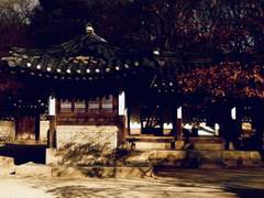 百花擾亂(백화요란) - 제 四장