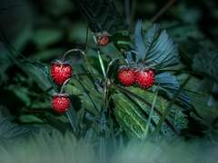 후배님 좀 많이 짜증납니다.