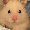 𝖋𝖎𝖊𝖘𝖙𝖆