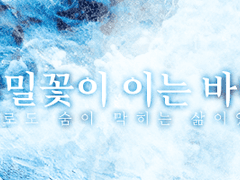 메밀꽃이 이는 바다