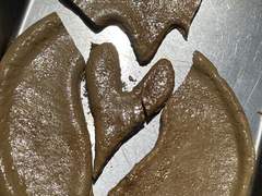 만남과 헤어짐, 그리고 벛꽃