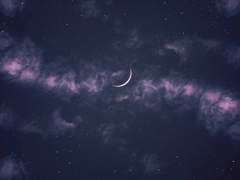 별이라는 그대 1