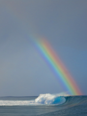 슬기로운 동거생활