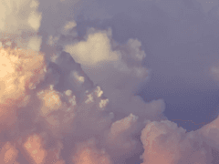 누군가 쫓아와요