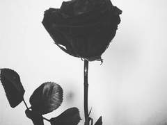 창세고등학교 - 강 한별 프로필.