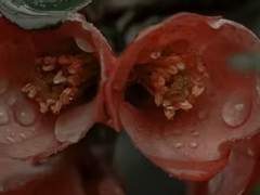 [치치써니]닿을 수 없는 곳